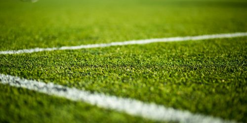 Artificial Grass, Turf, Turf Installation, Playground Turf, Astro Turf, Turf Installation Company, Pet Turf, Free Estimate