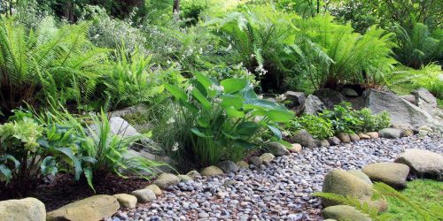 Rock Installation, Landscaping Company, Landscaping Service, Plant Installation, Flower Beds, Rock Installation, Mulch Installation, Free Estimate